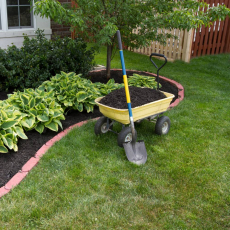 Лопаты - Саженцы, семена