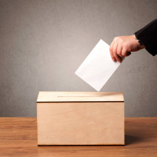 Сертификаты - Саженцы, семена