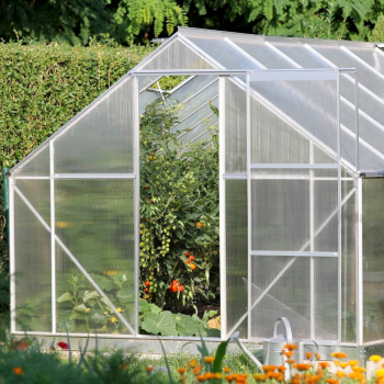 Перец - Саженцы, семена