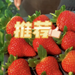 Bao zhu - мечтадачника.рф - Екатеринбург