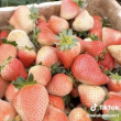 Fen yu - мечтадачника.рф - Екатеринбург