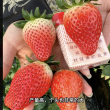 Zhang Ji - мечтадачника.рф - Екатеринбург