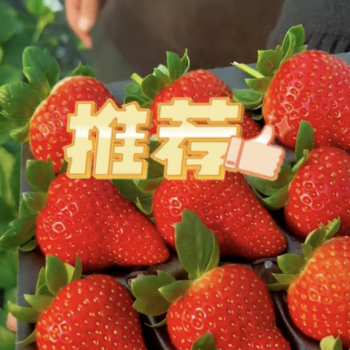 Bao zhu - мечтадачника.рф - Екатеринбург